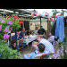 grillen live