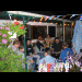 grillen live