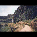 gran cranaria radtour